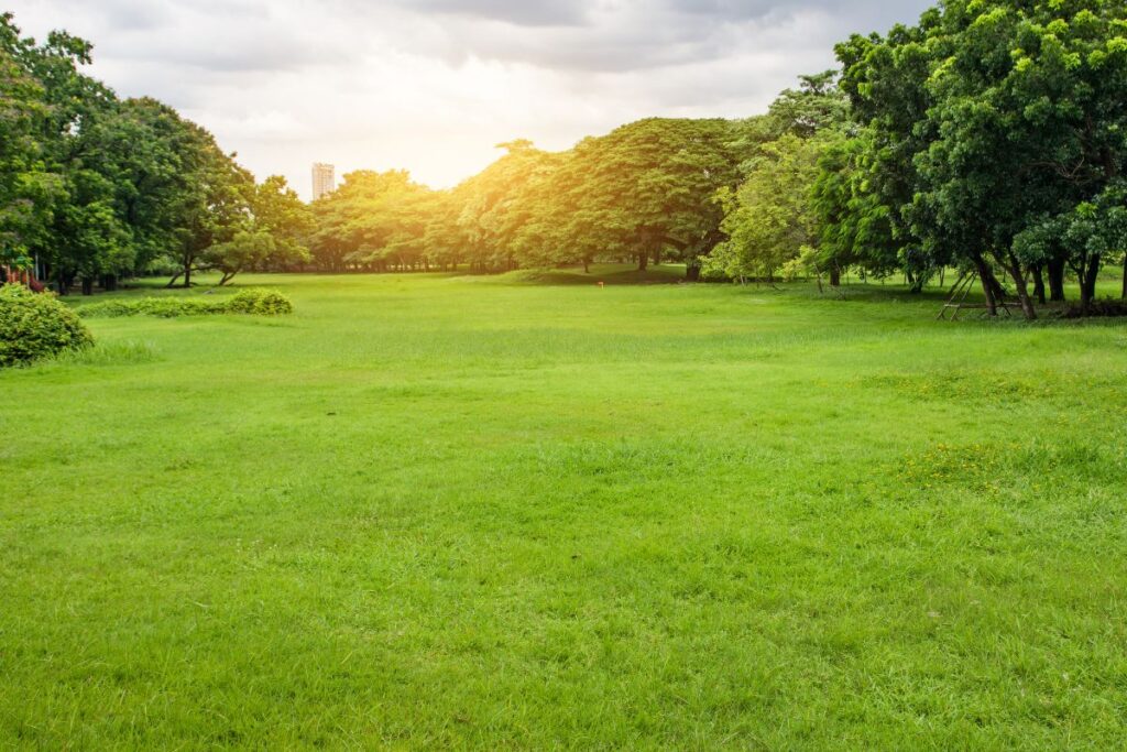 Green park