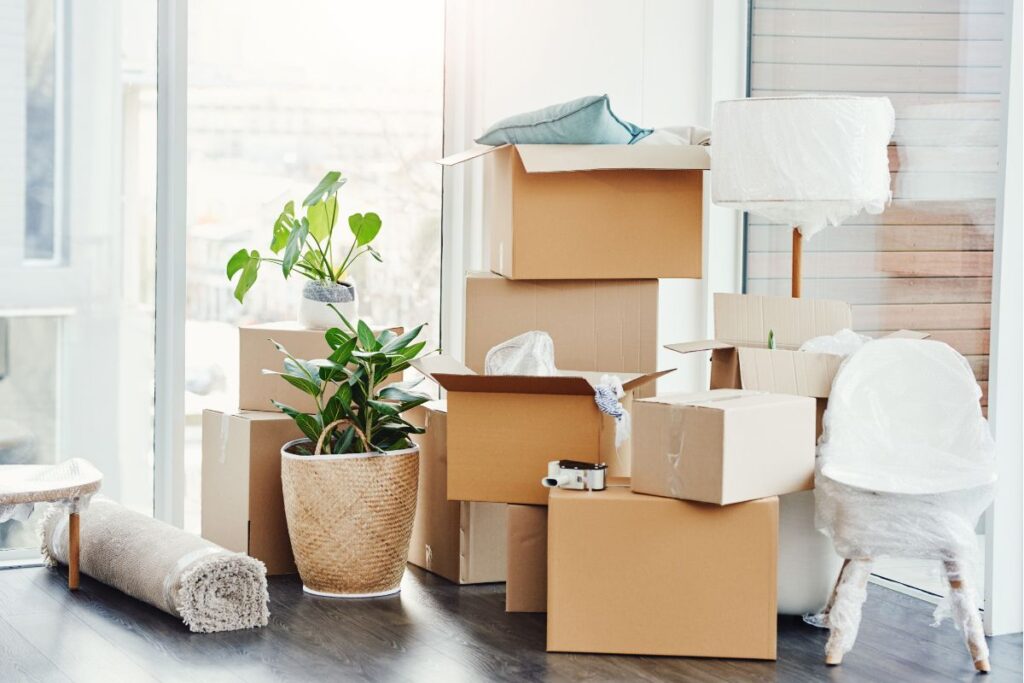 Pile of moving boxes